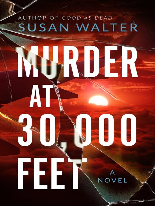 Cover image for Murder at 30,000 Feet